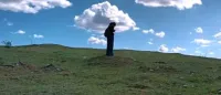 Vendant