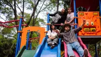 Los yeahs